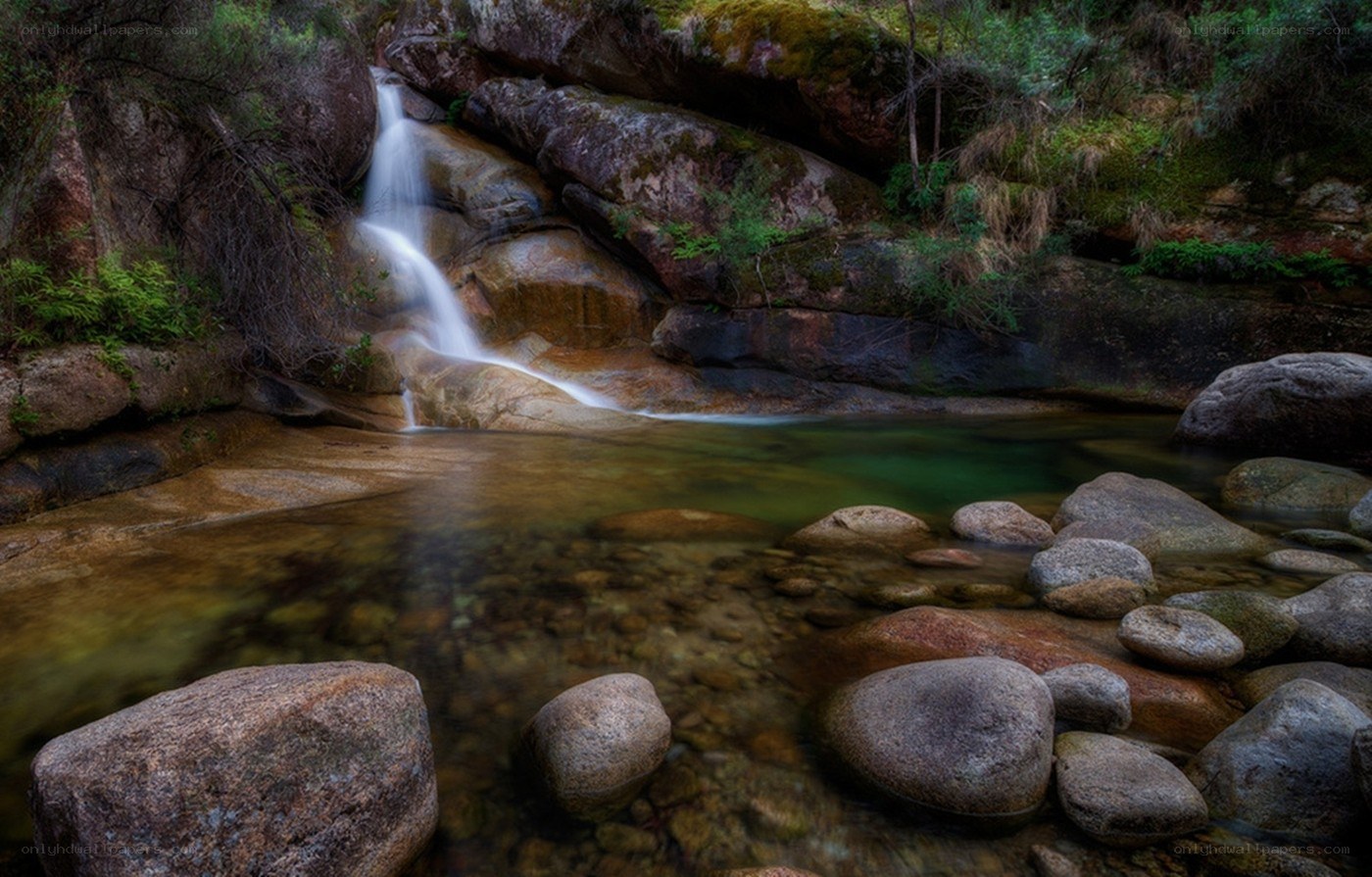 Waterfall in a forest stream