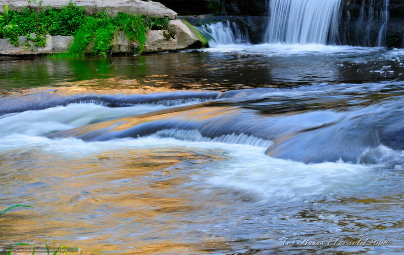 Waterfall in a forest stream