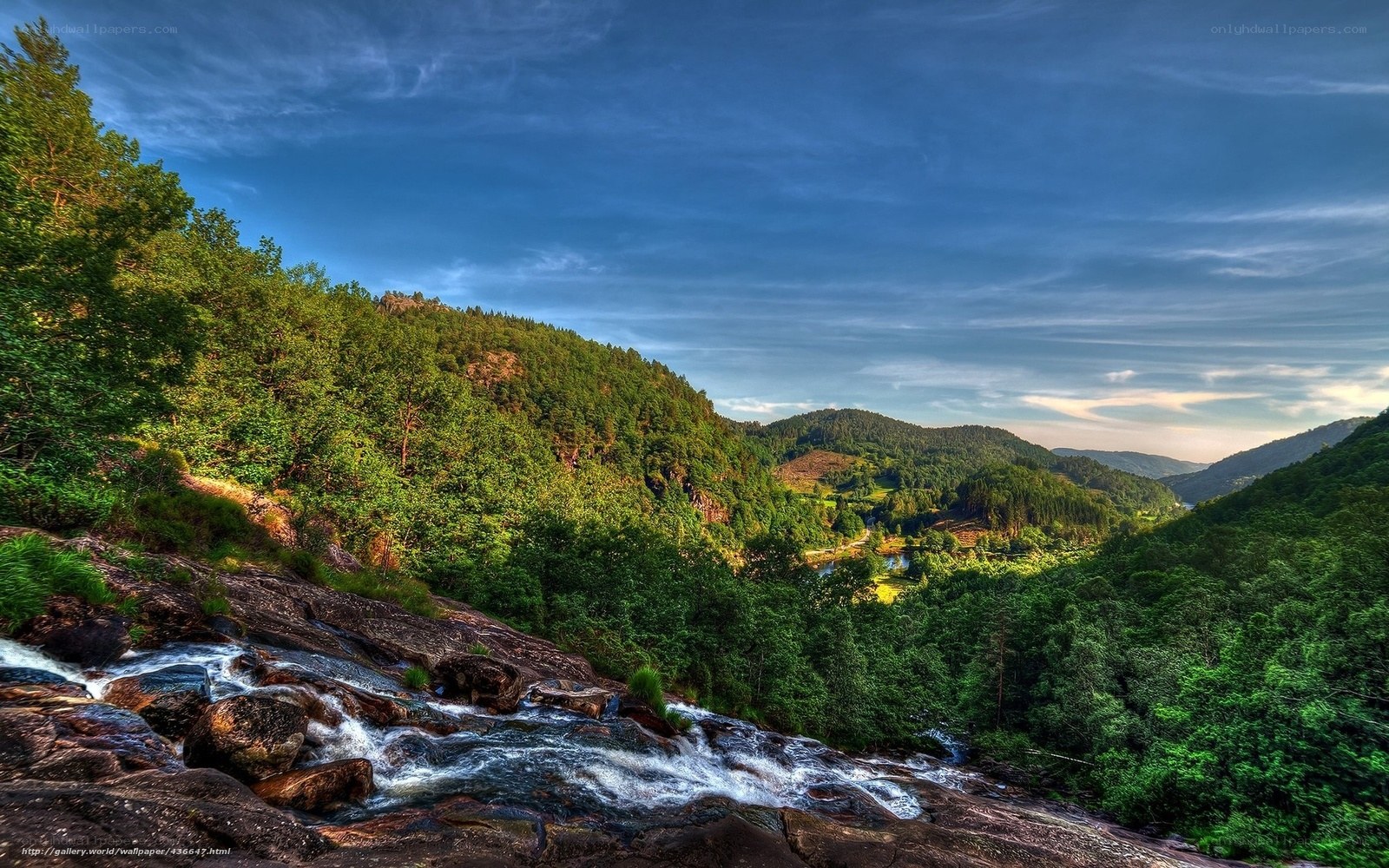 Waterfall in a forest valley