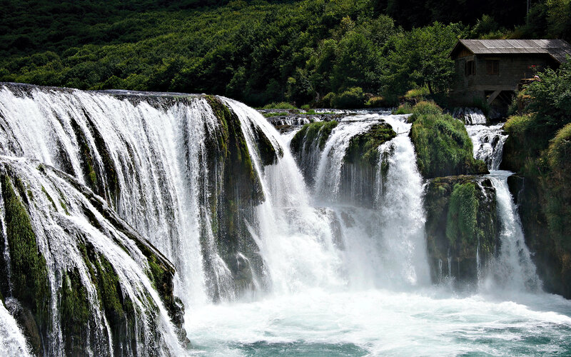 Waterfall in a forested area