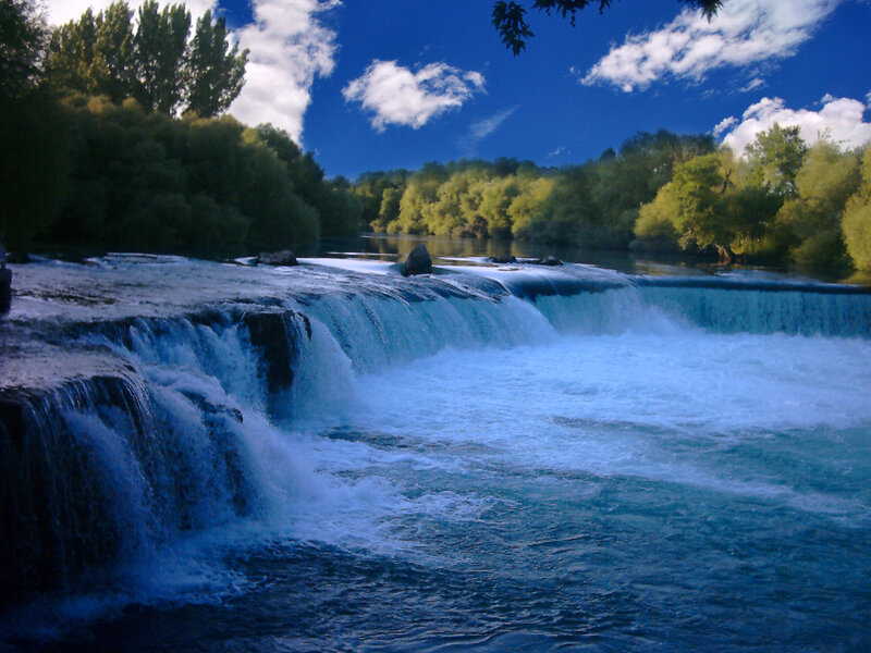 Waterfall in a forested area