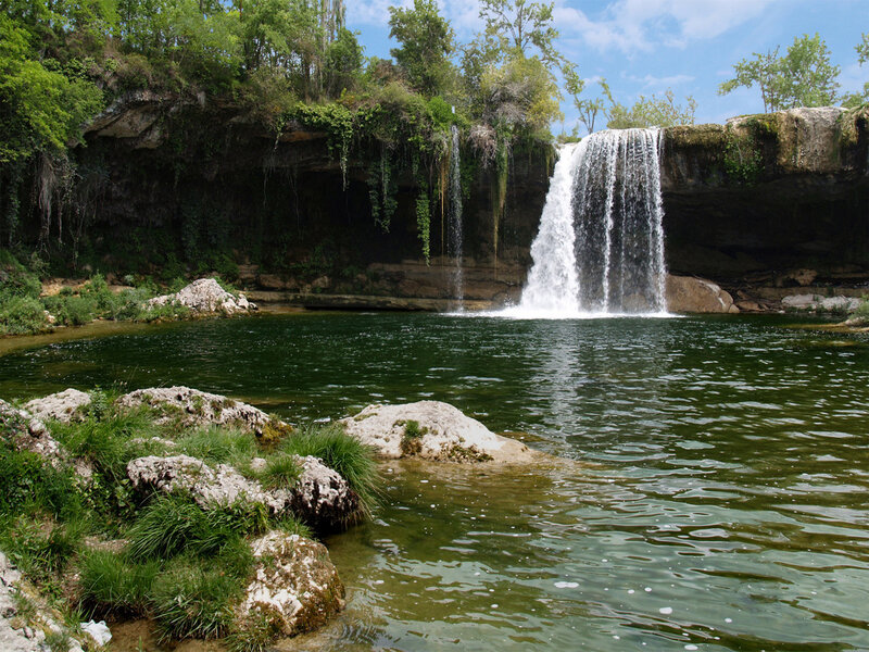 Waterfall in a forested area