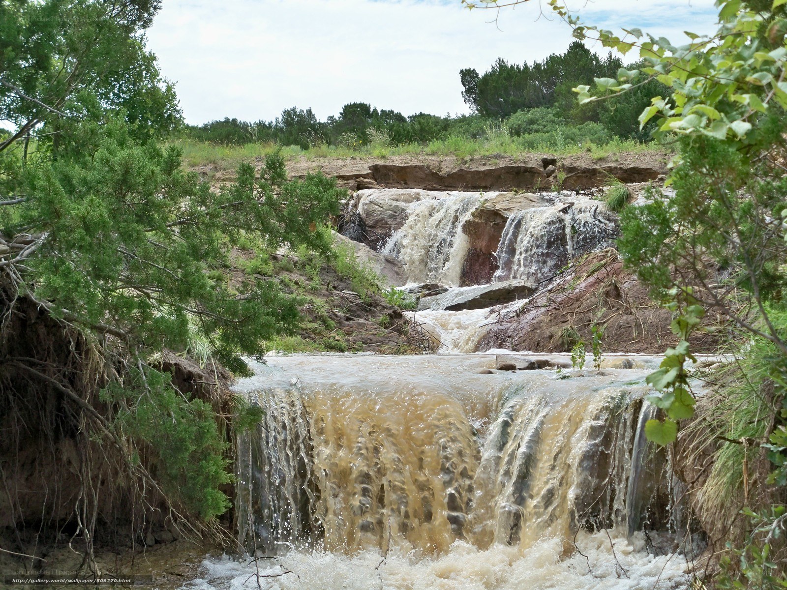 Waterfall in a forested area