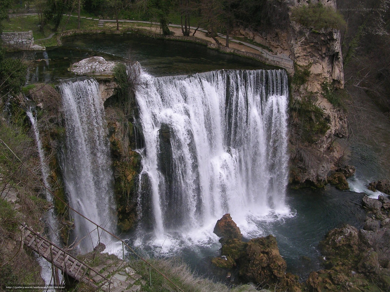 Waterfall in a forested area