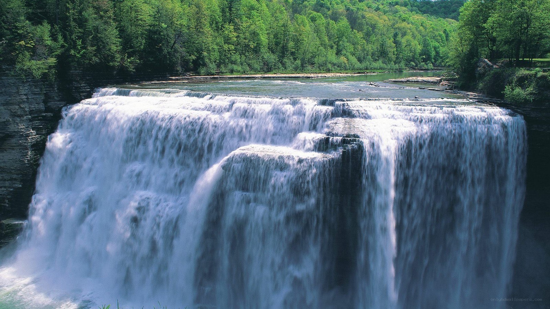 Waterfall in a forested area