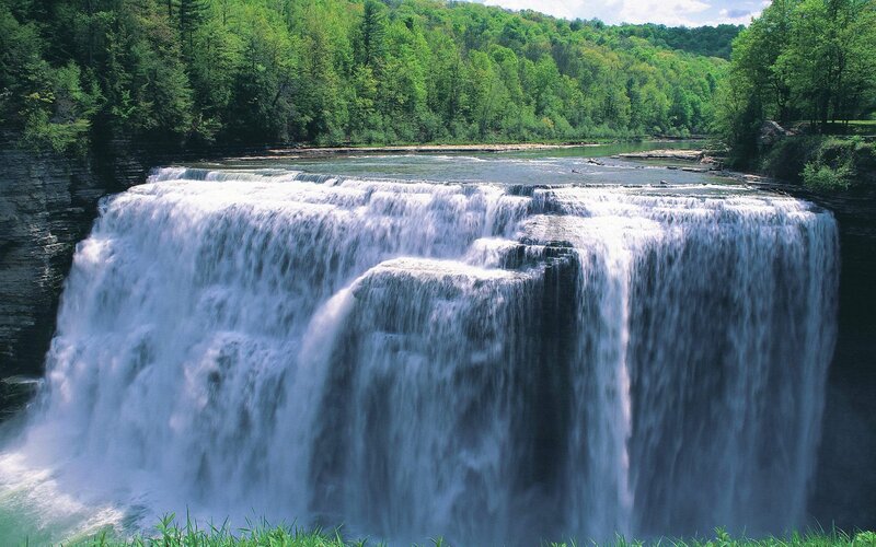 Waterfall in a forested area