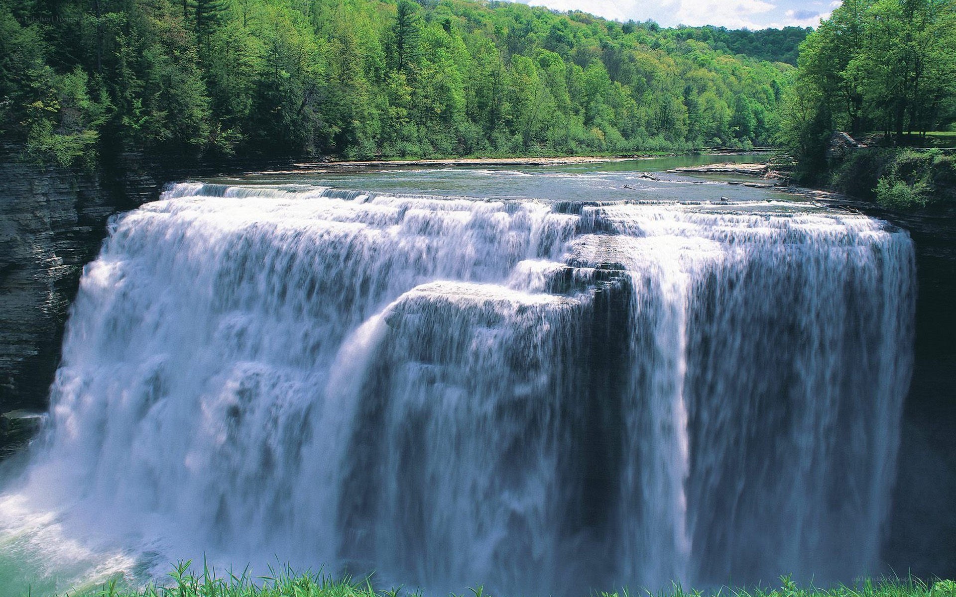 Waterfall in a forested area