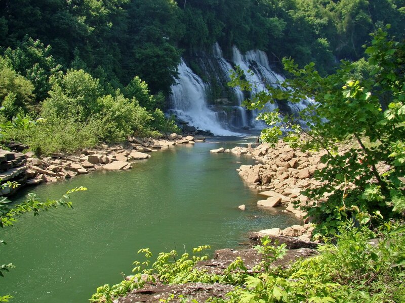 Waterfall in a forested area