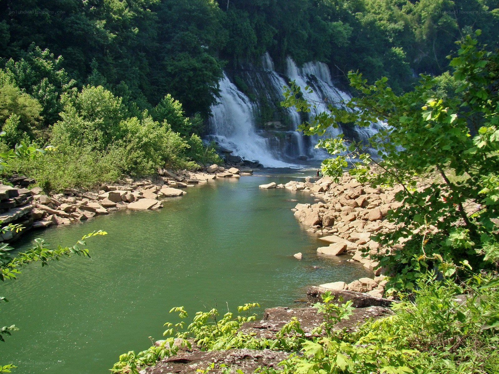 Waterfall in a forested area