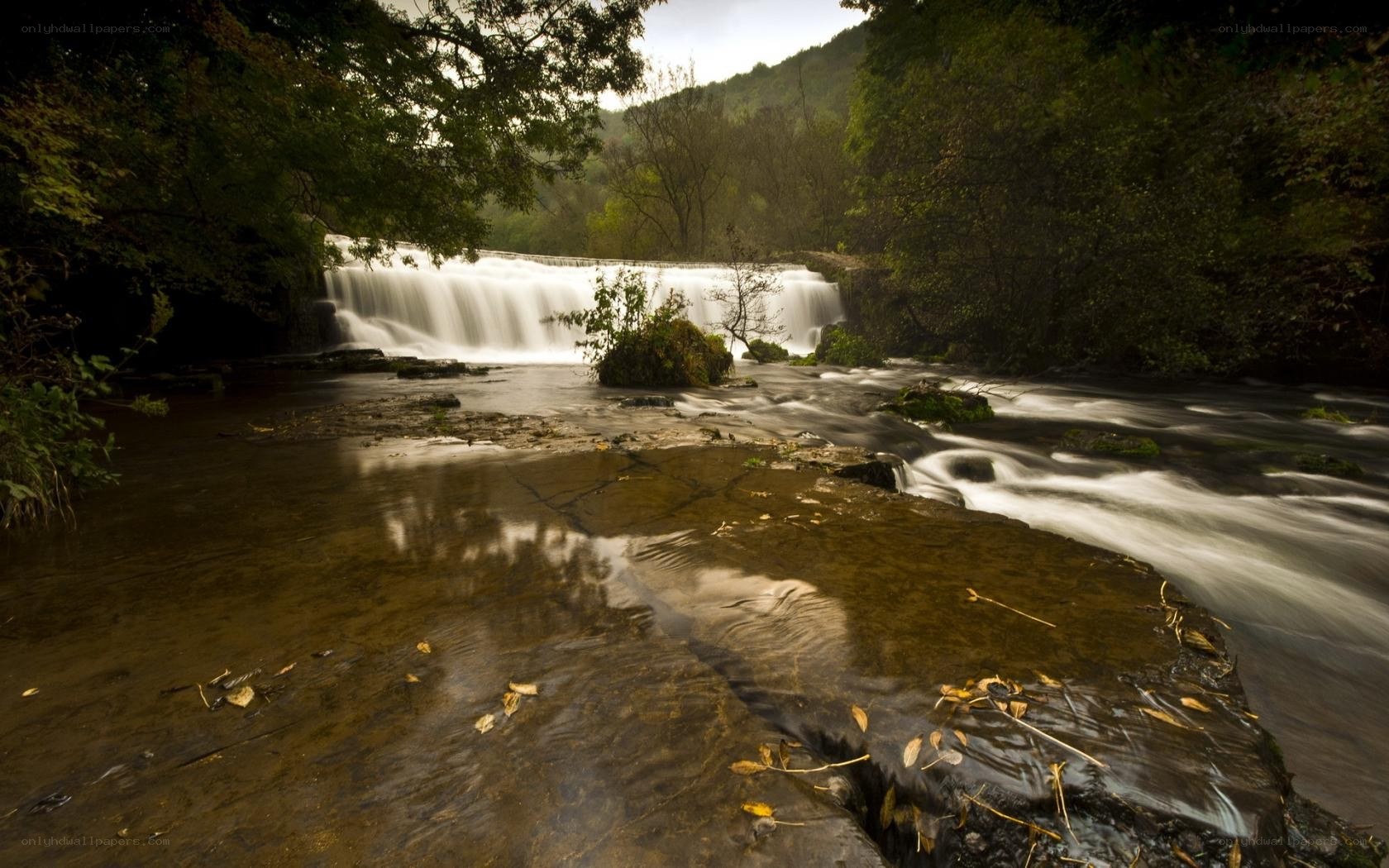 Waterfall in a forested area