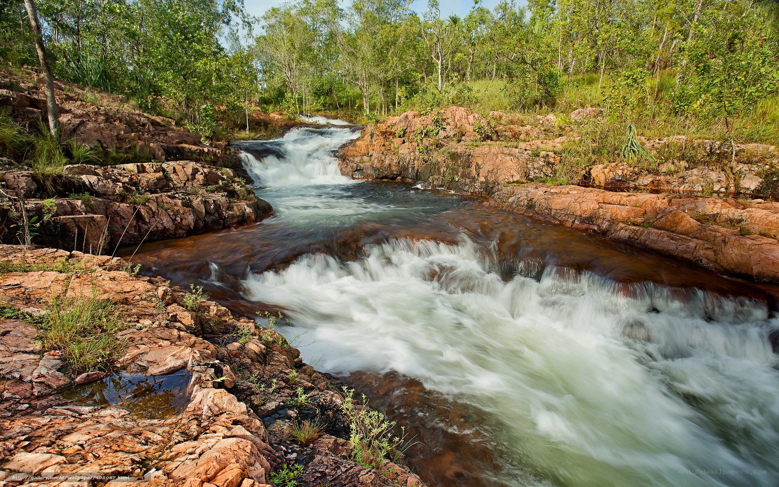 Waterfall in a forested area
