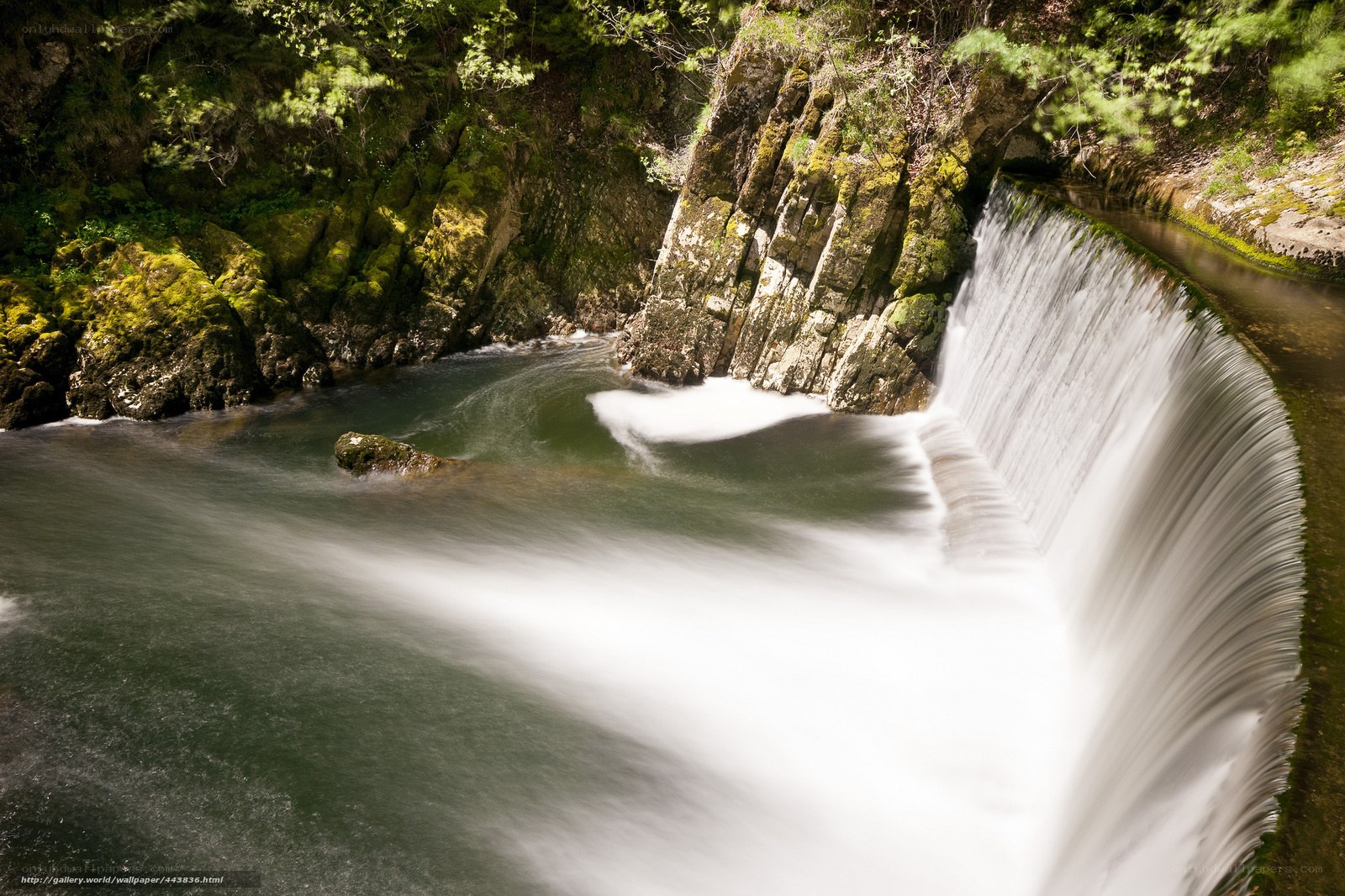 Waterfall in a forested canyon