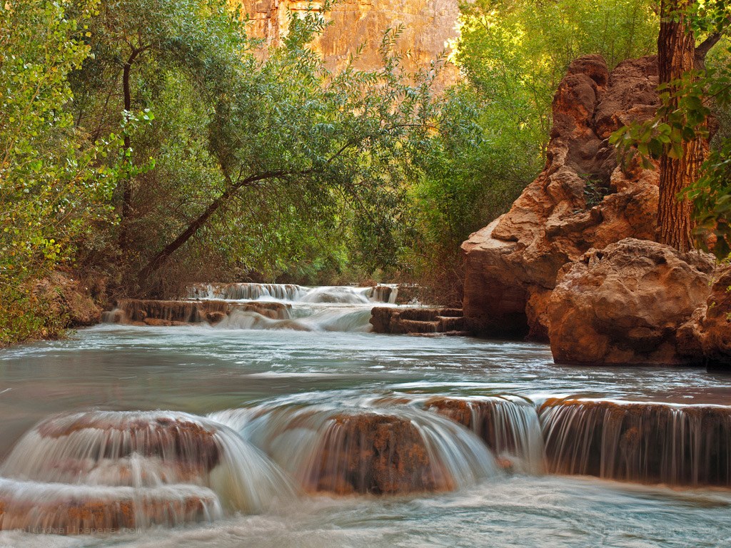 Waterfall in a forested canyon