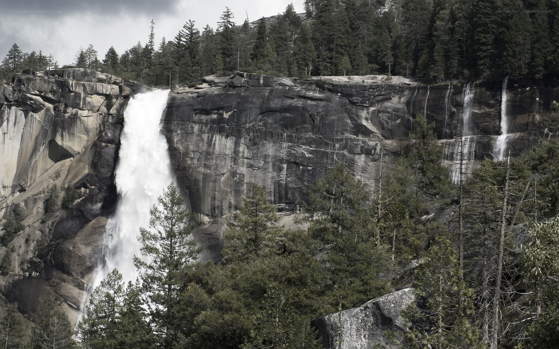 Waterfall in a forested canyon