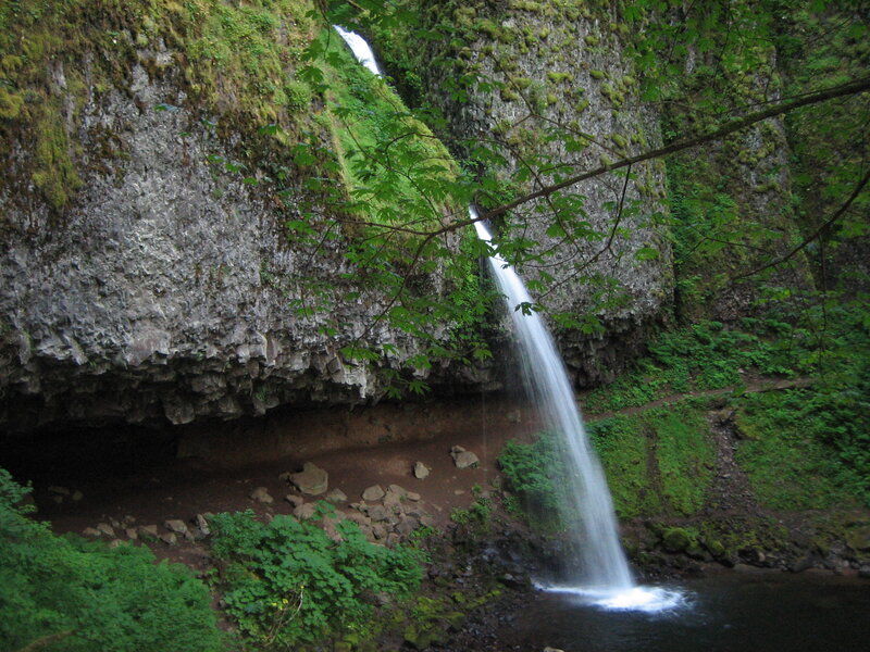 Waterfall in a forested canyon