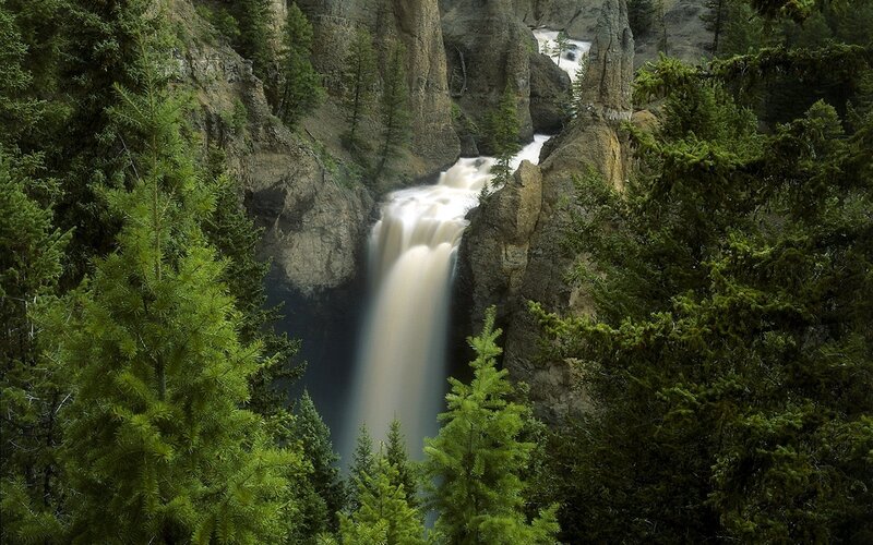 Waterfall in a forested canyon
