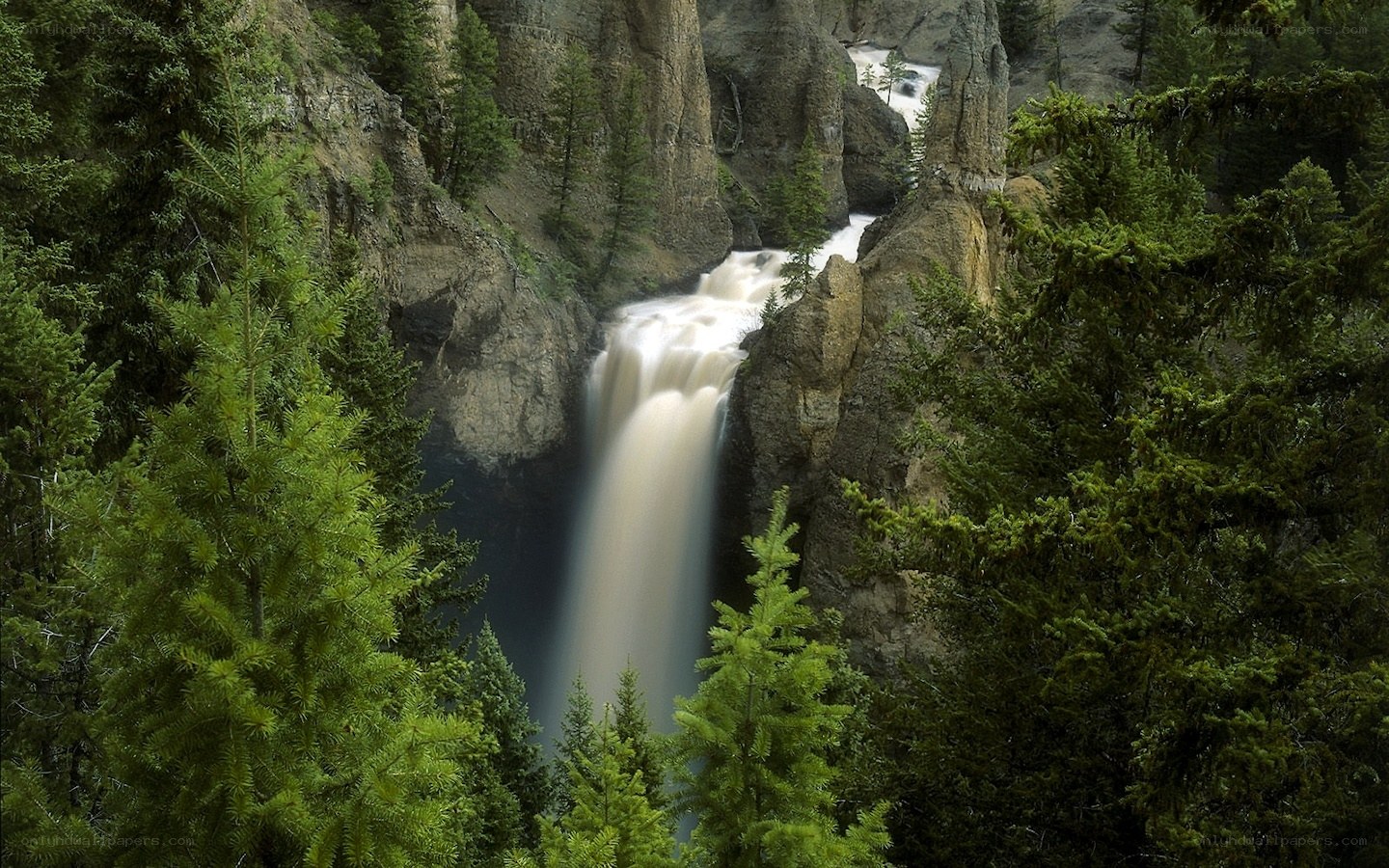 Waterfall in a forested canyon