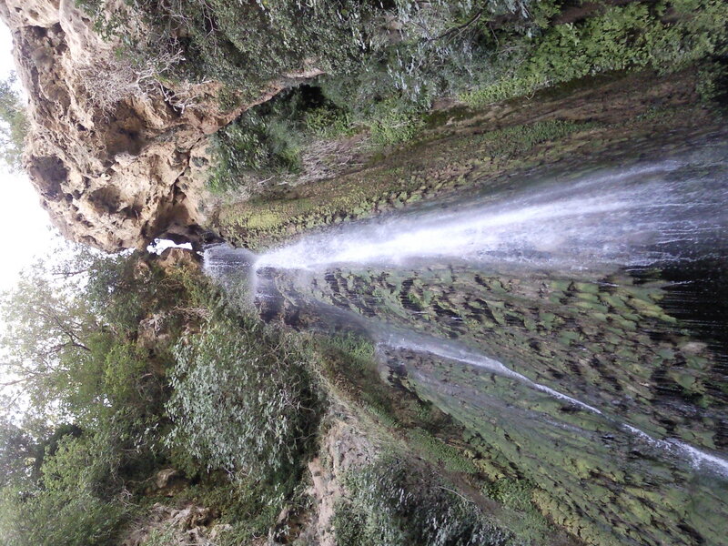 Waterfall in a forested canyon