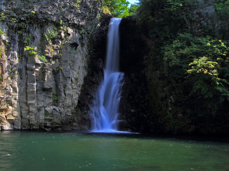 Waterfall in a forested canyon