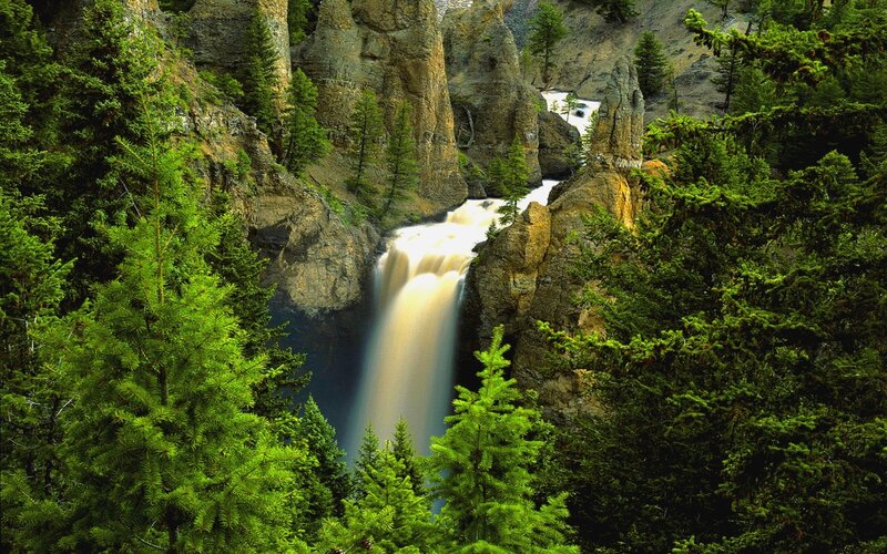 Waterfall in a forested canyon