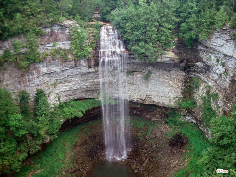 Waterfall in a forested canyon