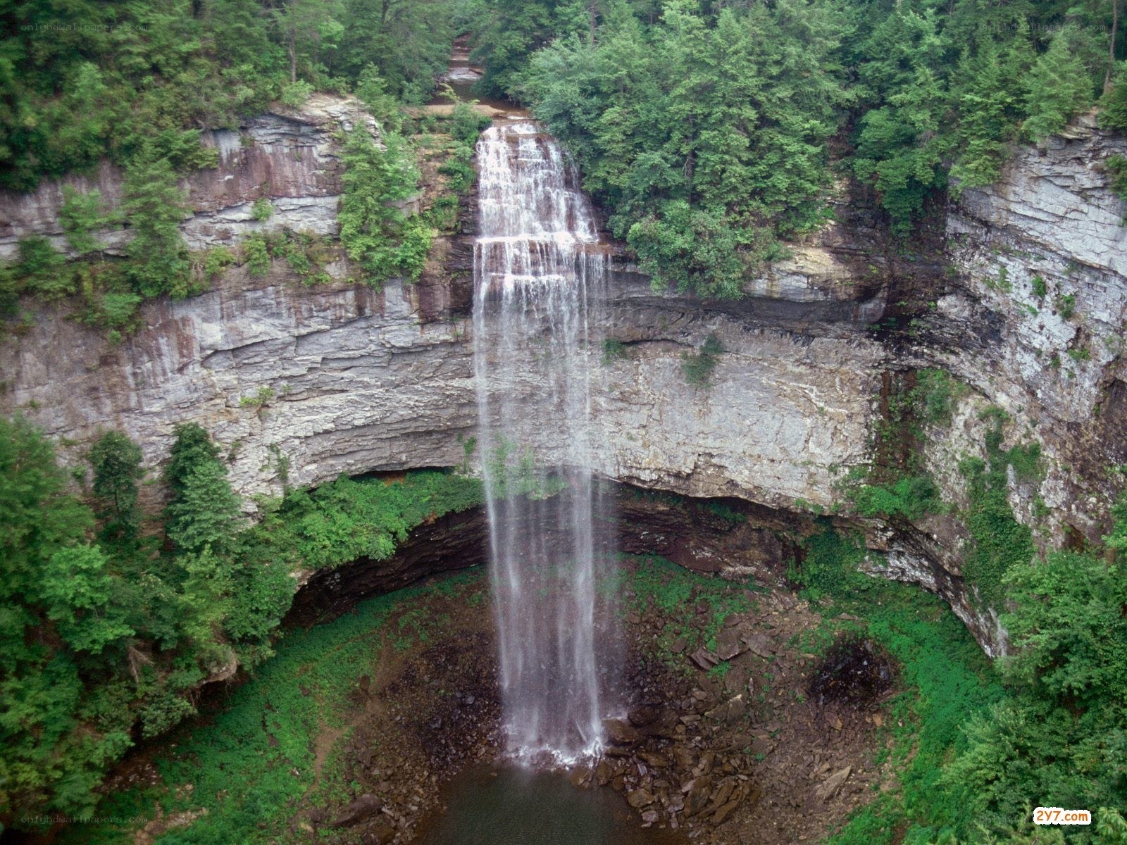Waterfall in a forested canyon