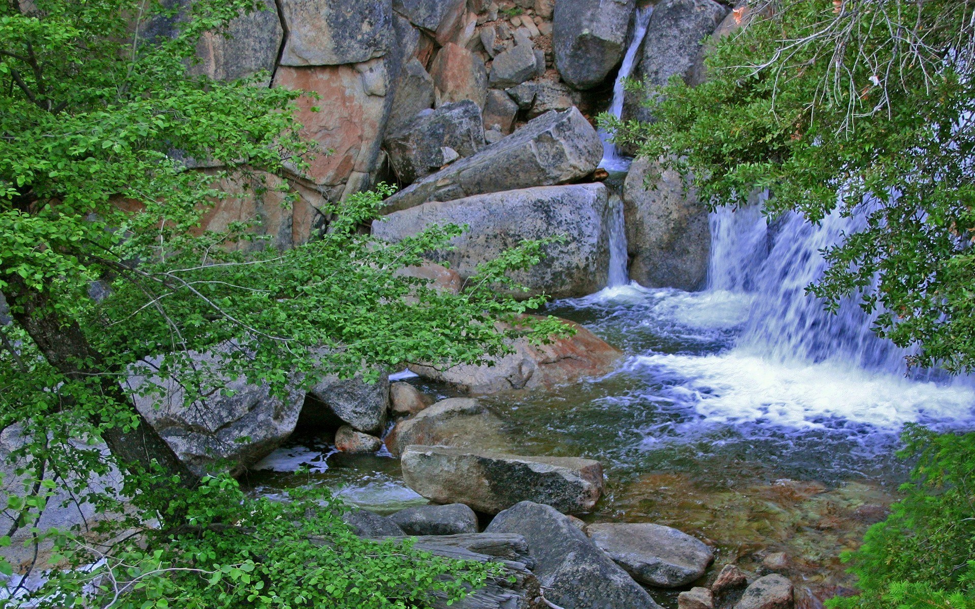 Waterfall in a forested canyon