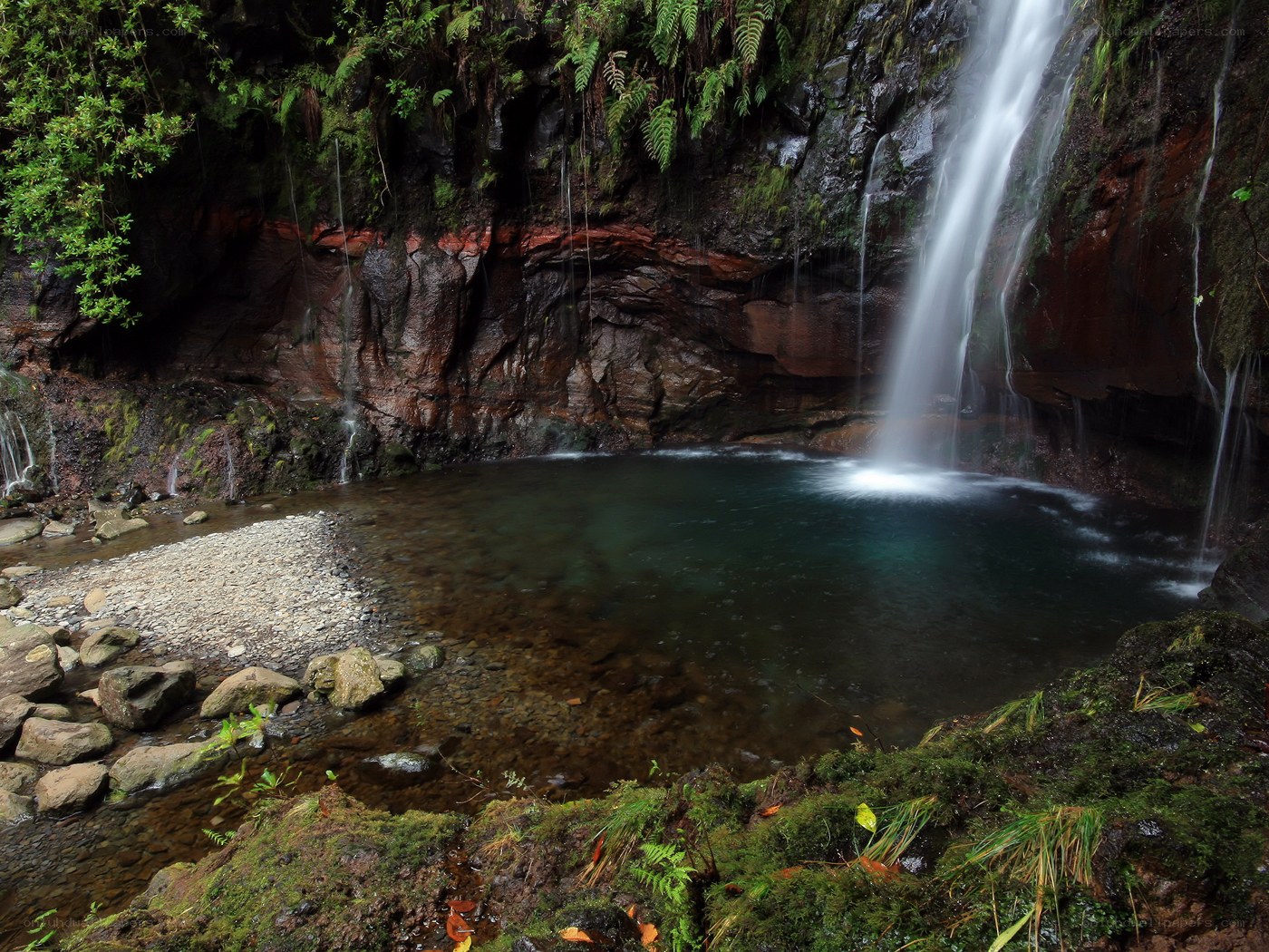 Waterfall in a forested canyon