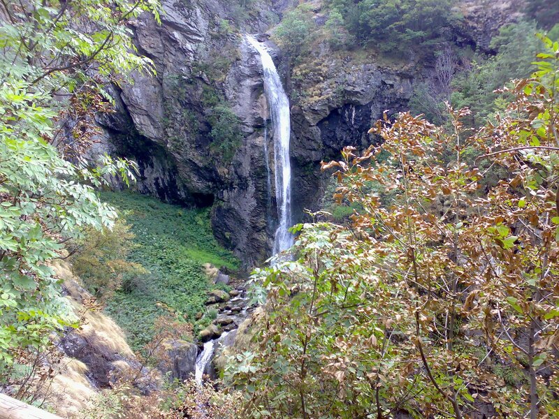 Waterfall in a forested canyon
