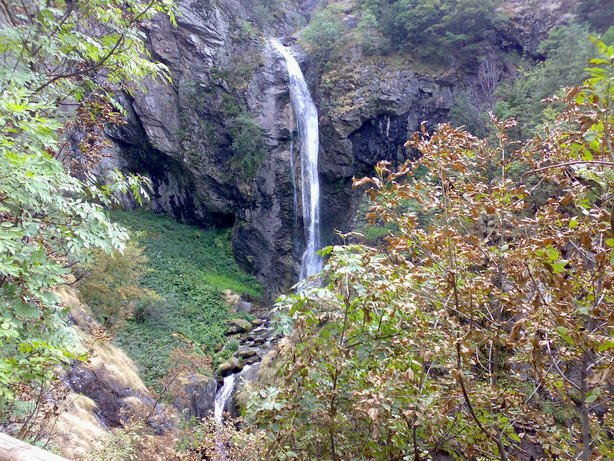 Waterfall in a forested canyon