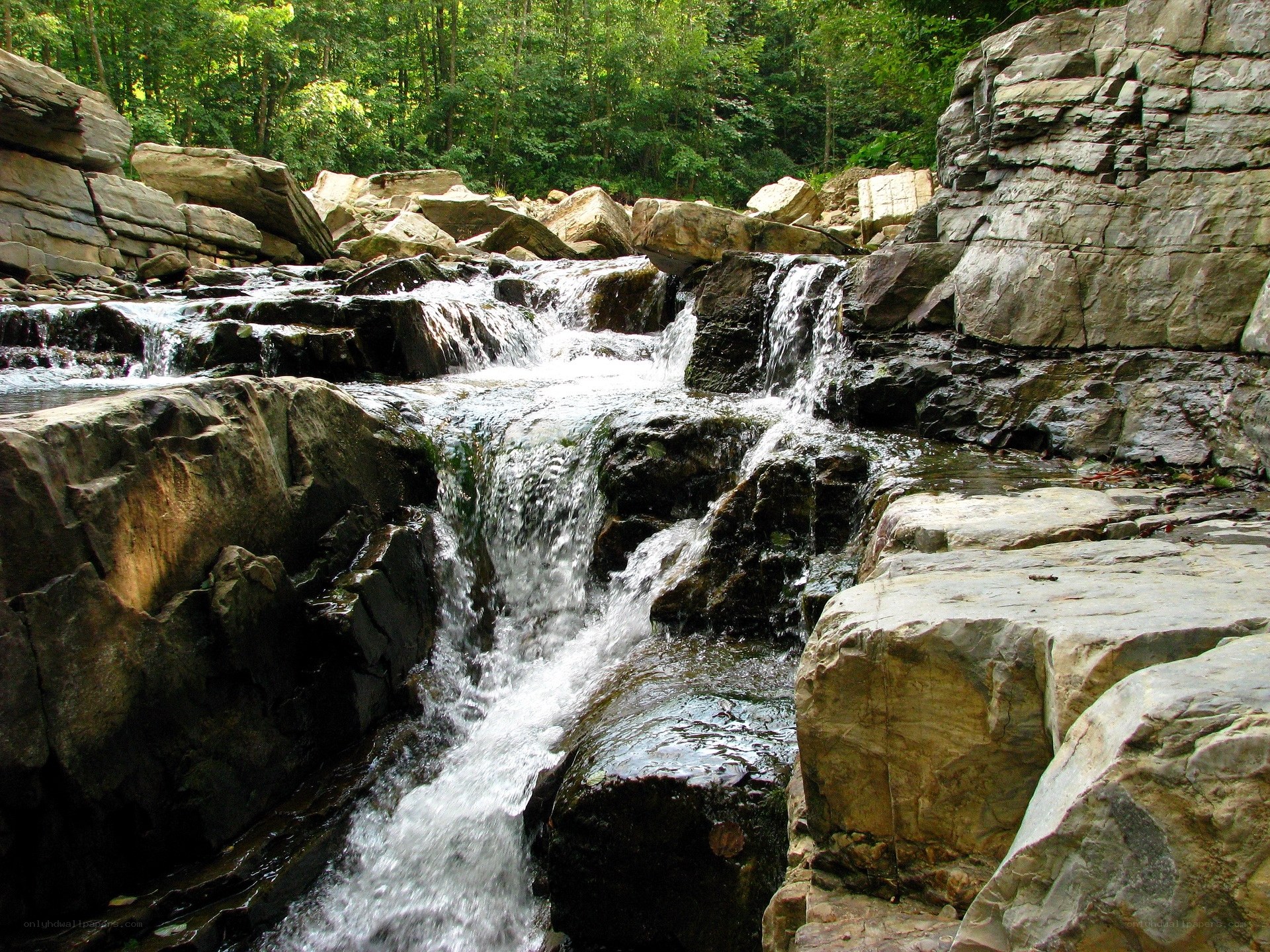 Waterfall in a forested canyon
