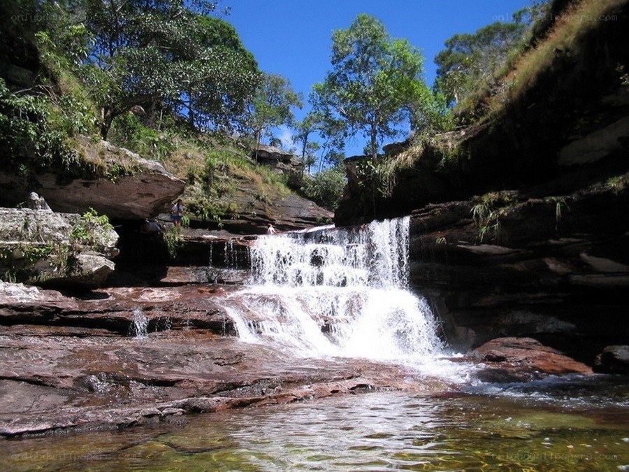 Waterfall in a forested canyon