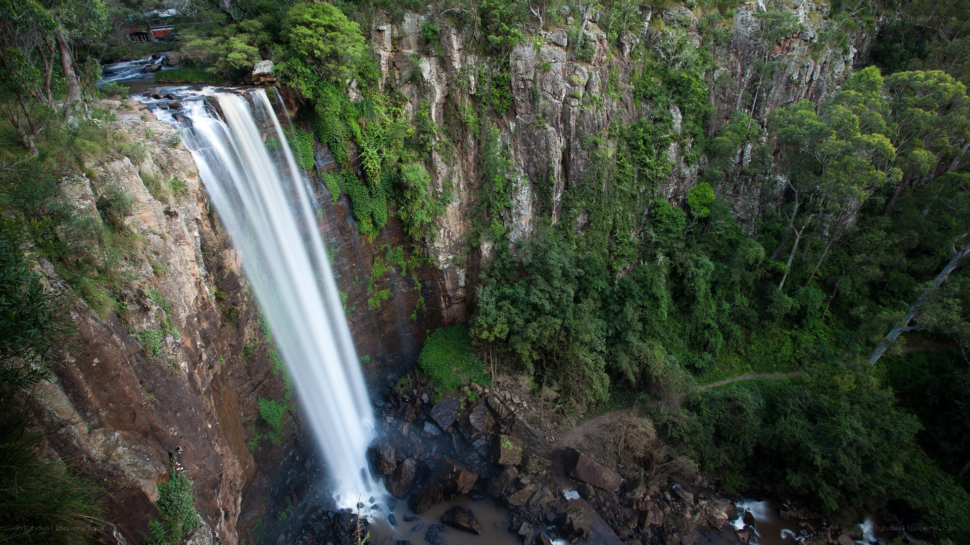 Waterfall in a forested canyon