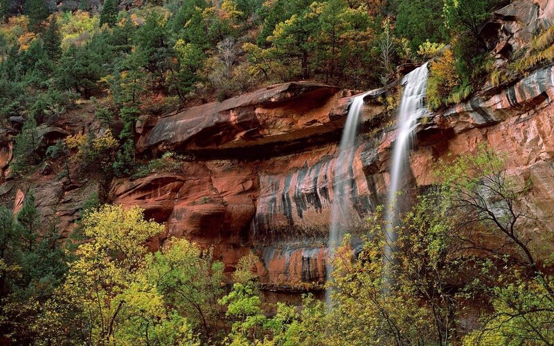 Waterfall in a forested canyon
