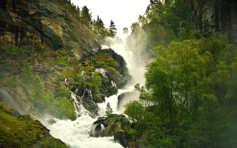 Waterfall in a forested canyon