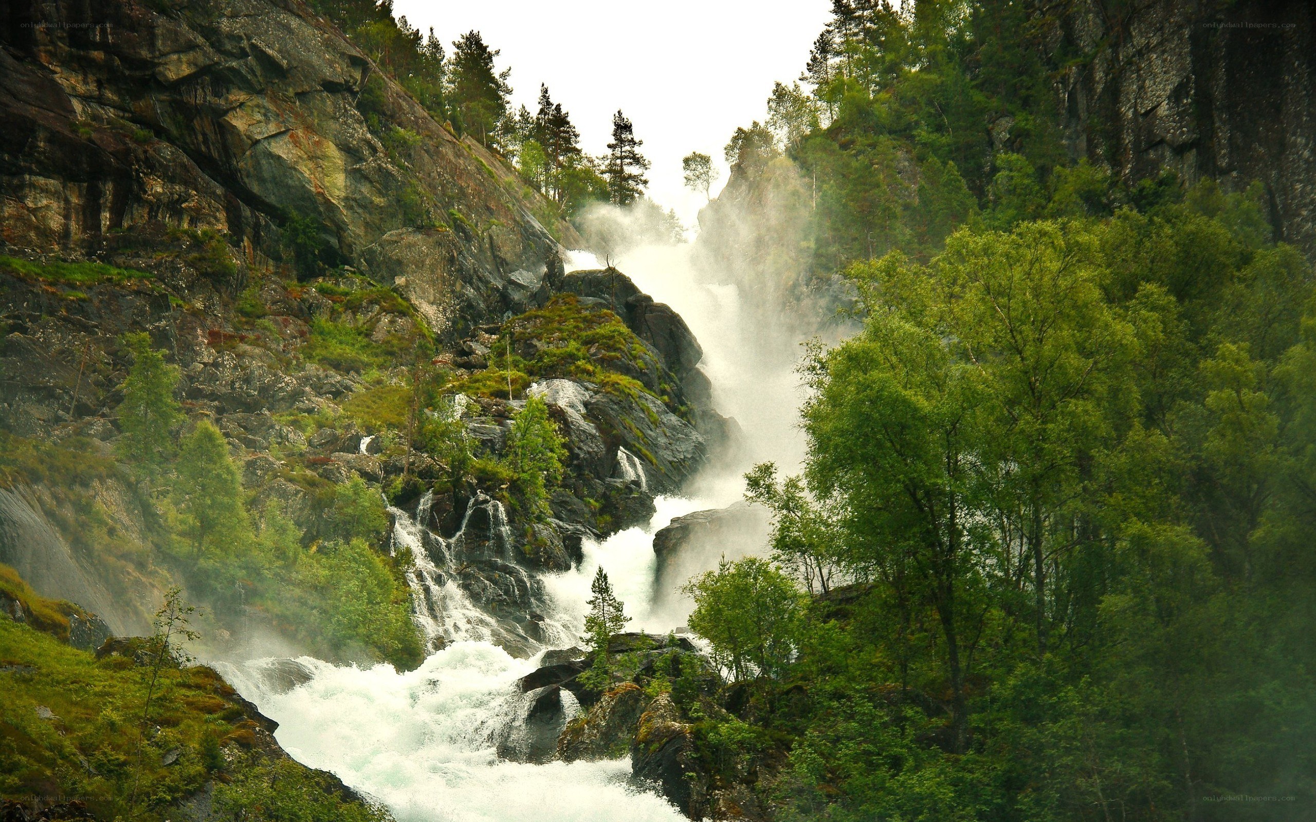 Waterfall in a forested canyon