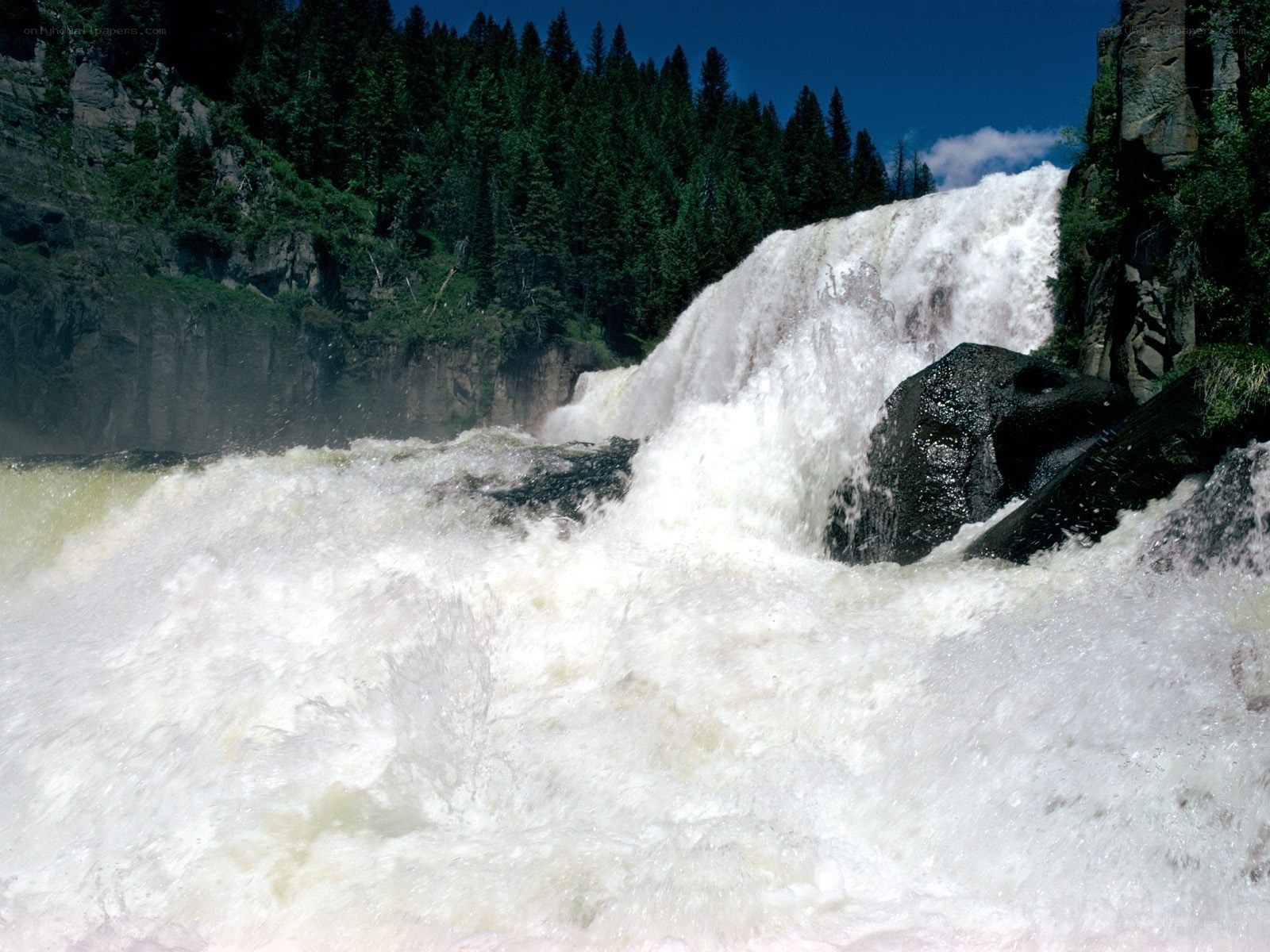 Waterfall in a forested canyon