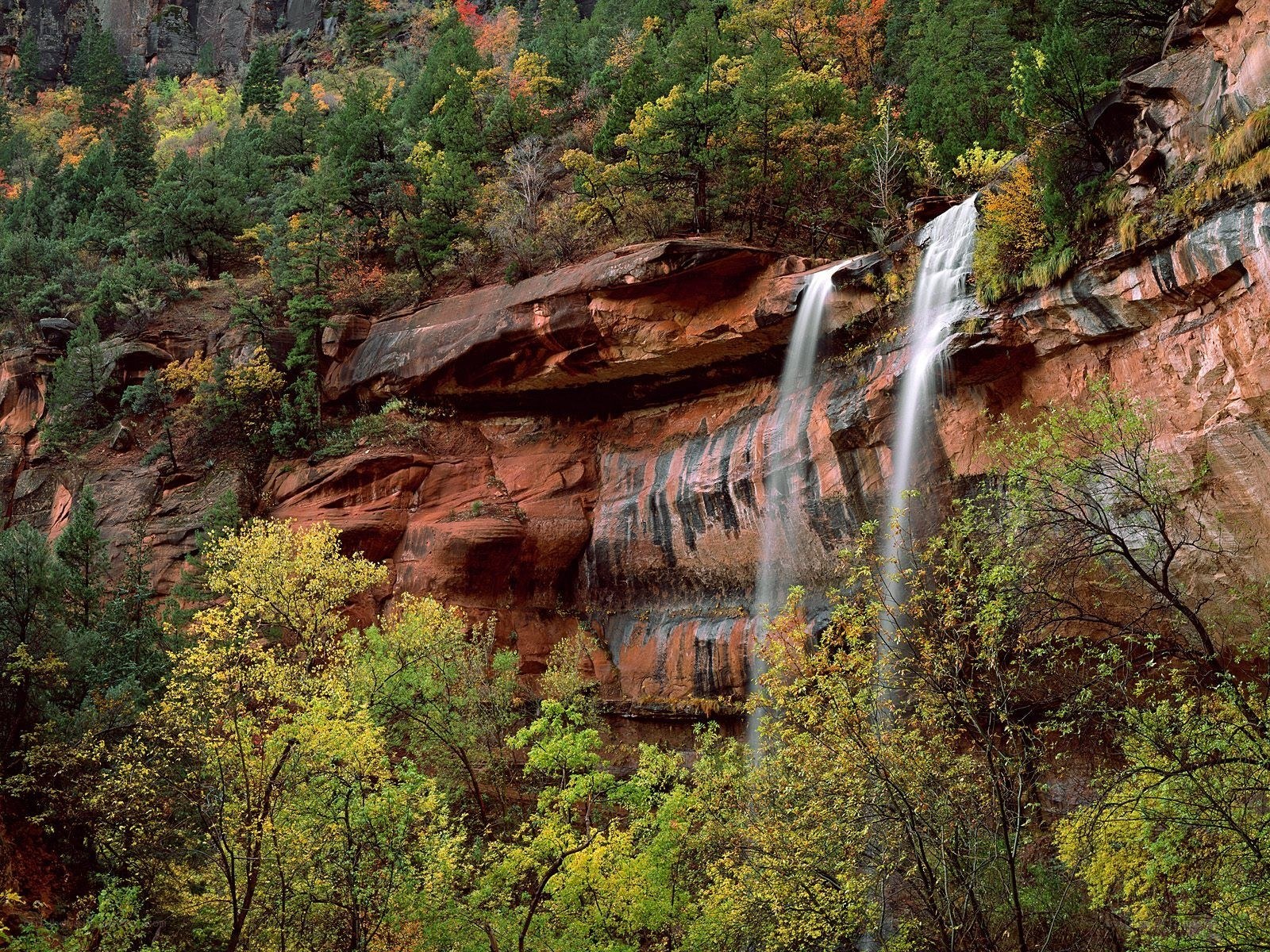 Waterfall in a forested canyon