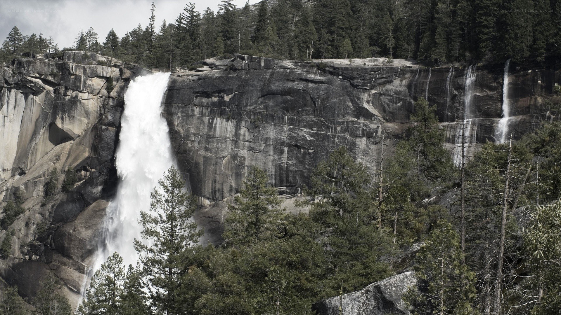 Waterfall in a forested canyon