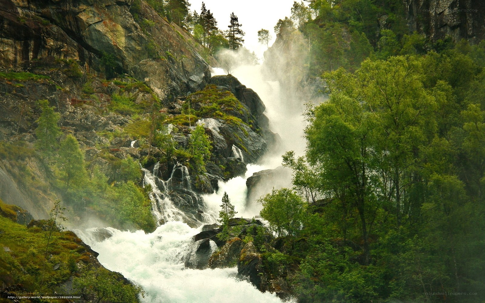 Waterfall in a forested canyon