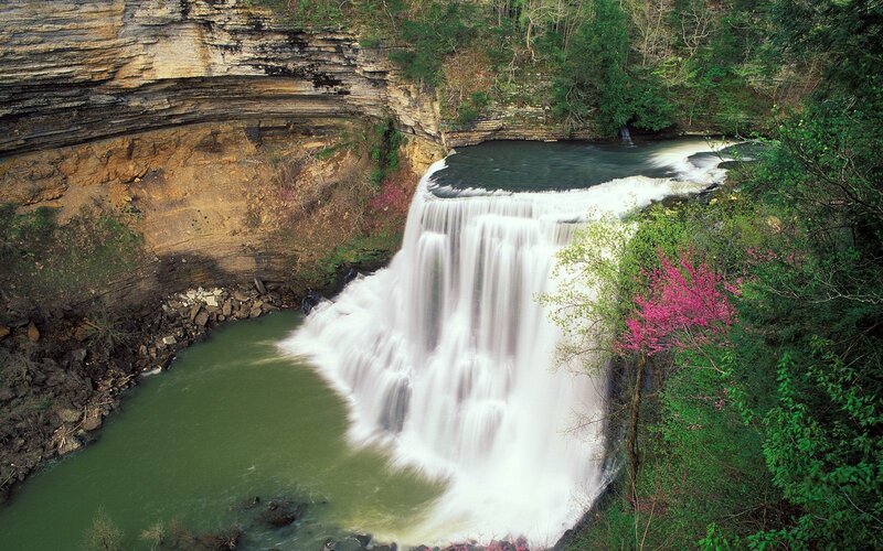 Waterfall in a forested canyon