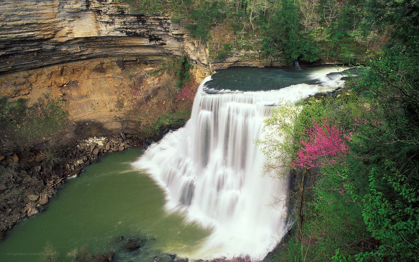 Waterfall in a forested canyon
