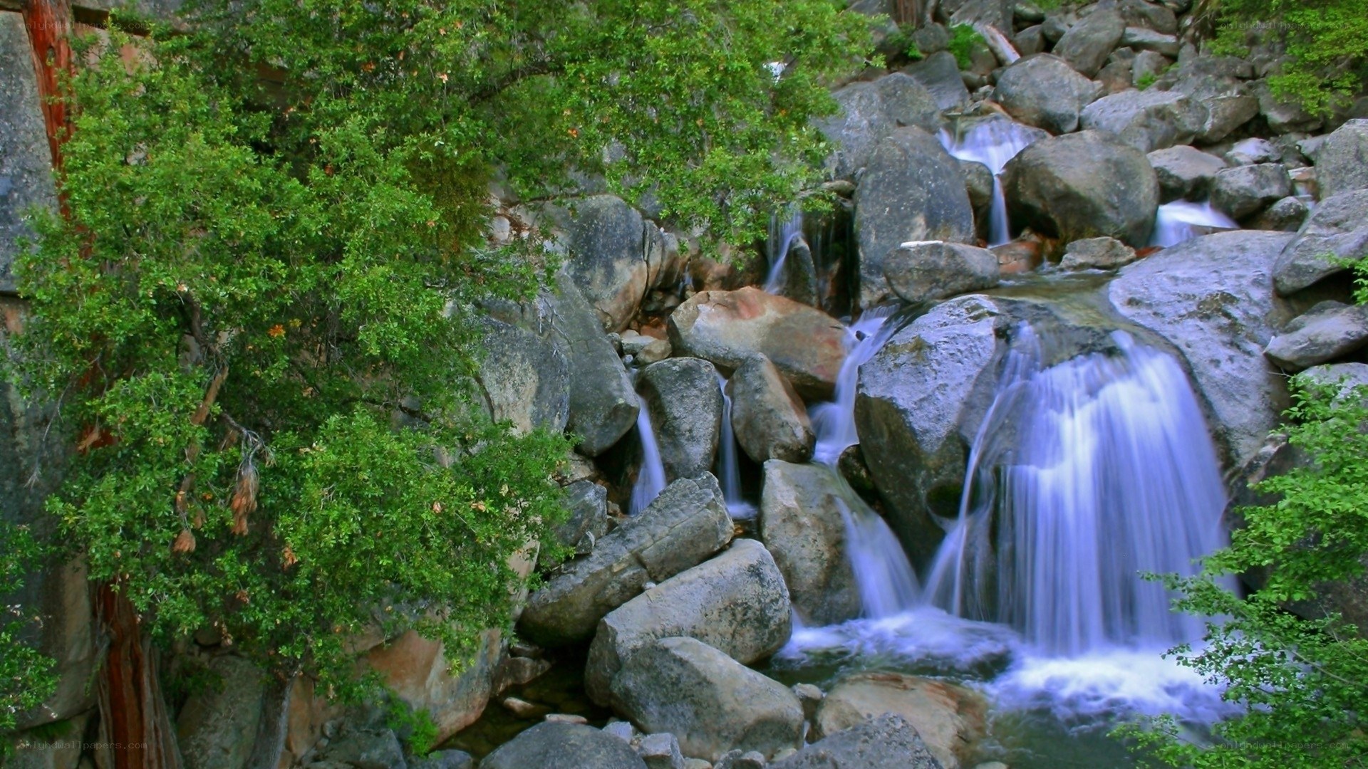 Waterfall in a forested canyon