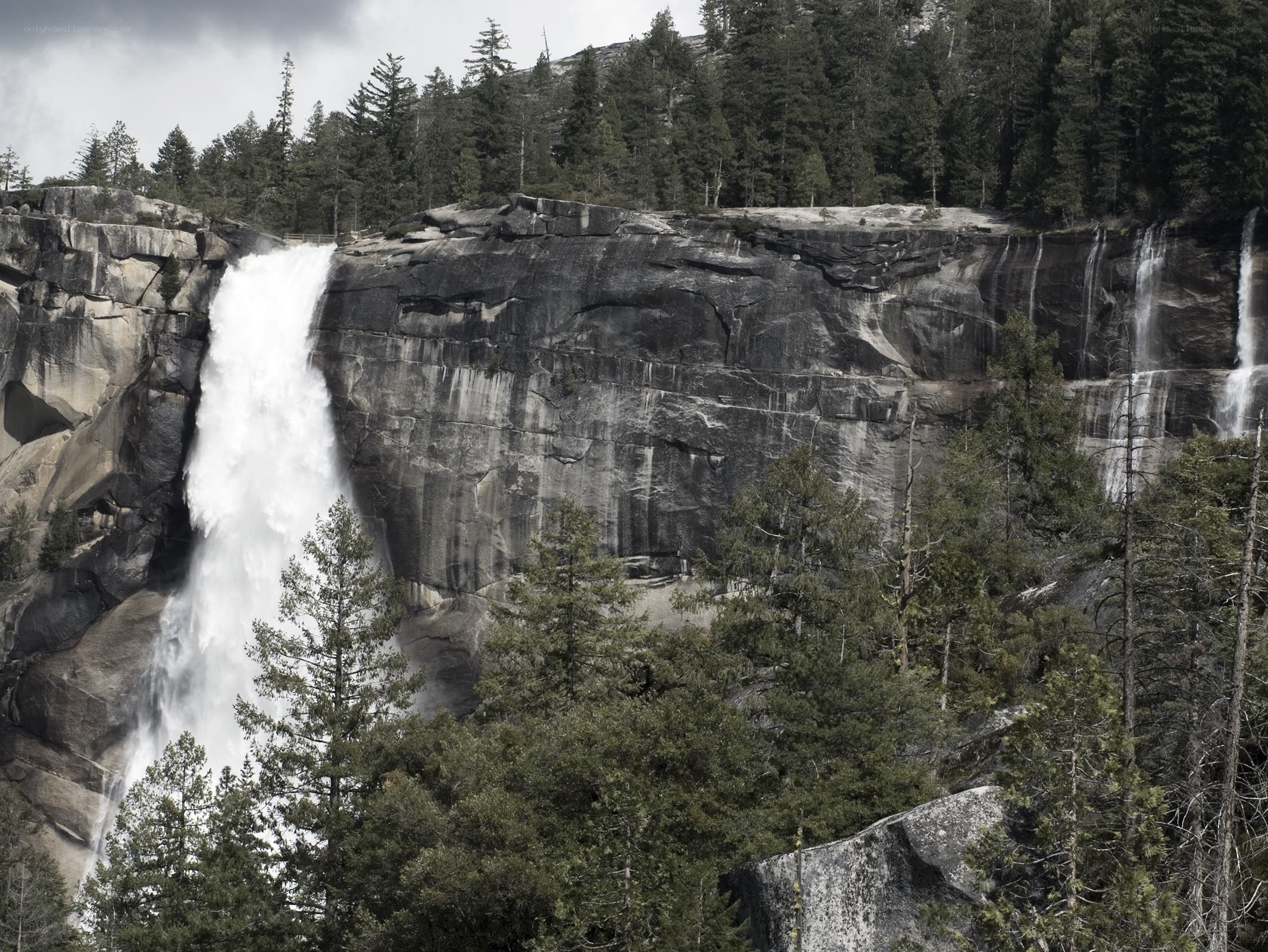 Waterfall in a forested canyon
