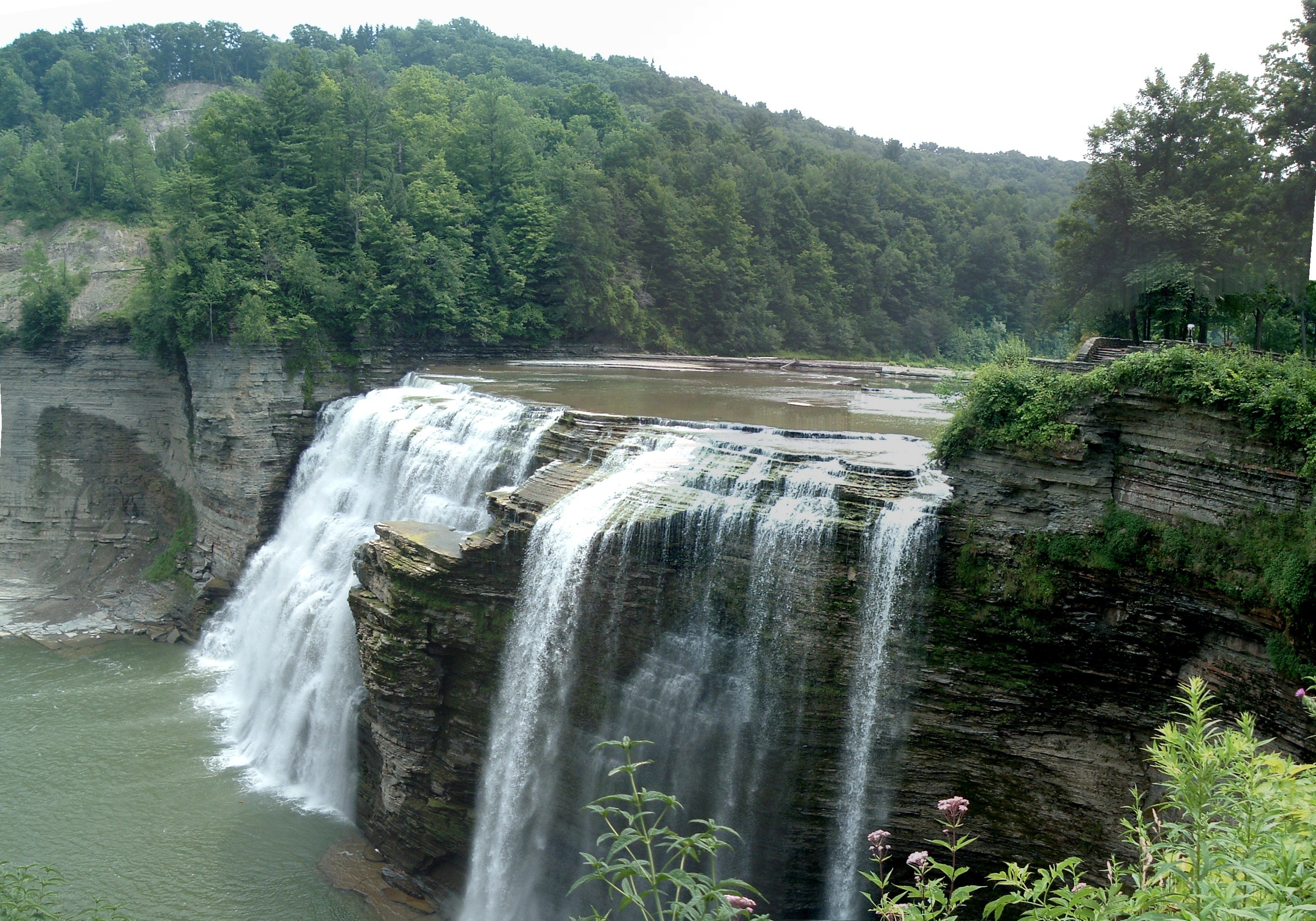 Waterfall in a forested canyon