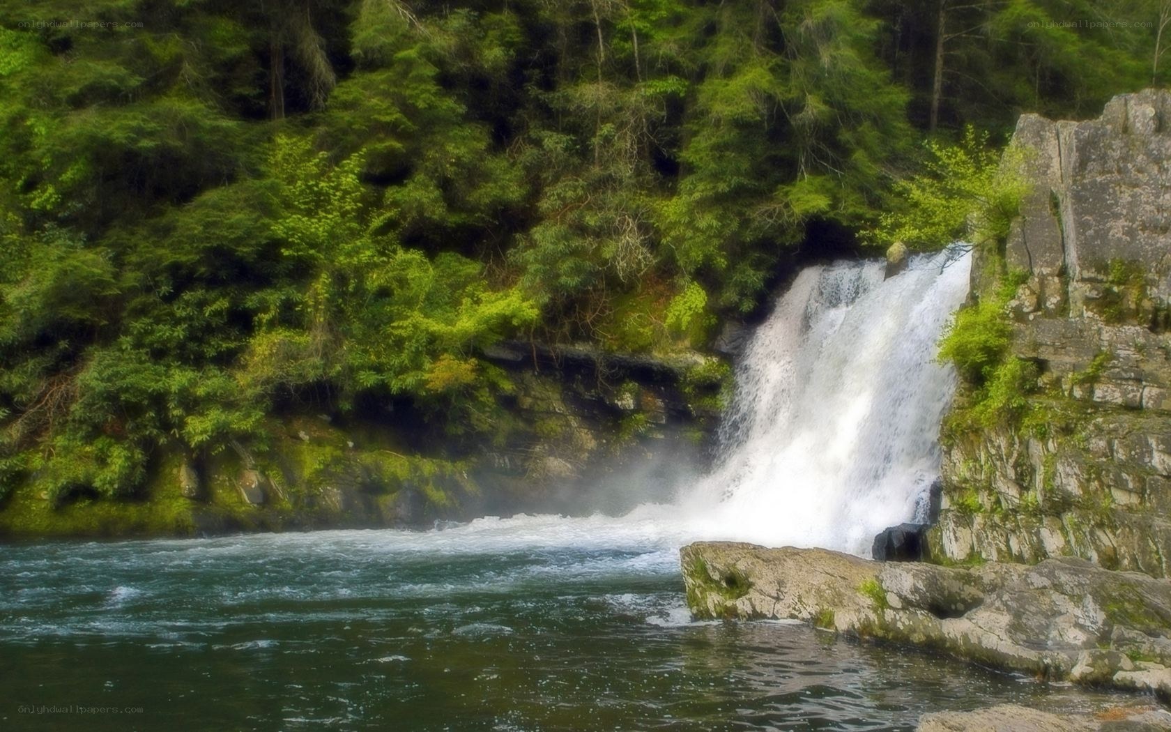 Waterfall in a forested canyon