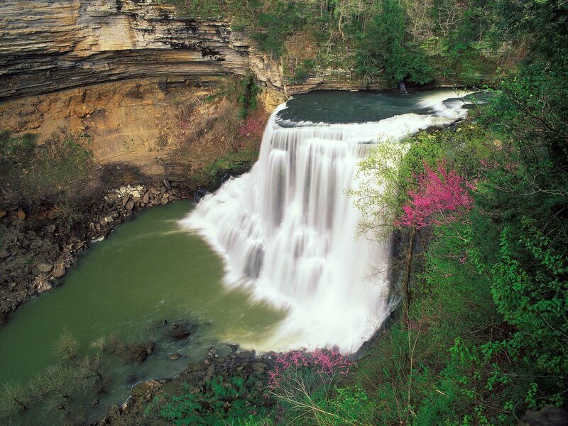 Waterfall in a forested canyon