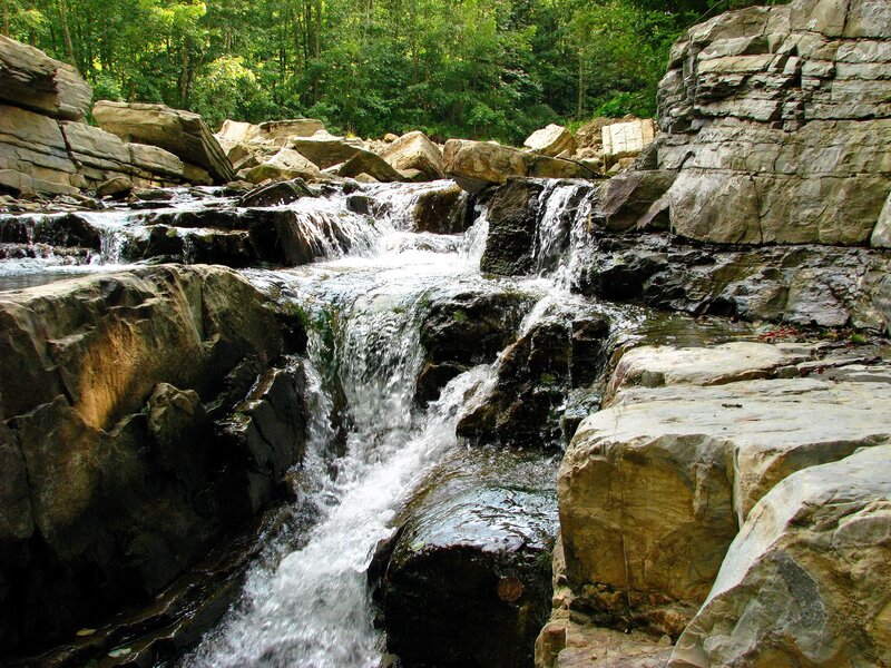 Waterfall in a forested canyon