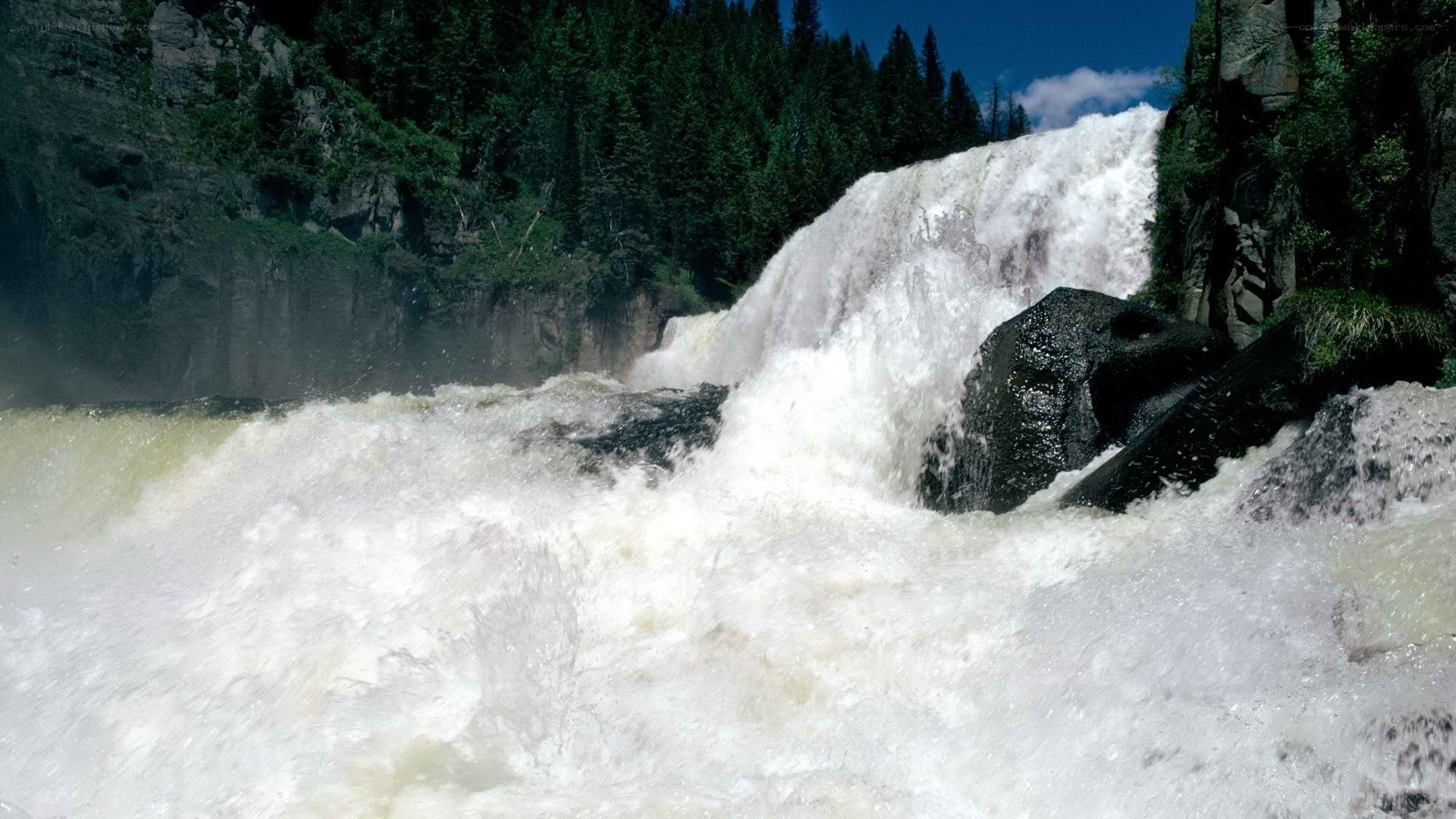 Waterfall in a forested canyon