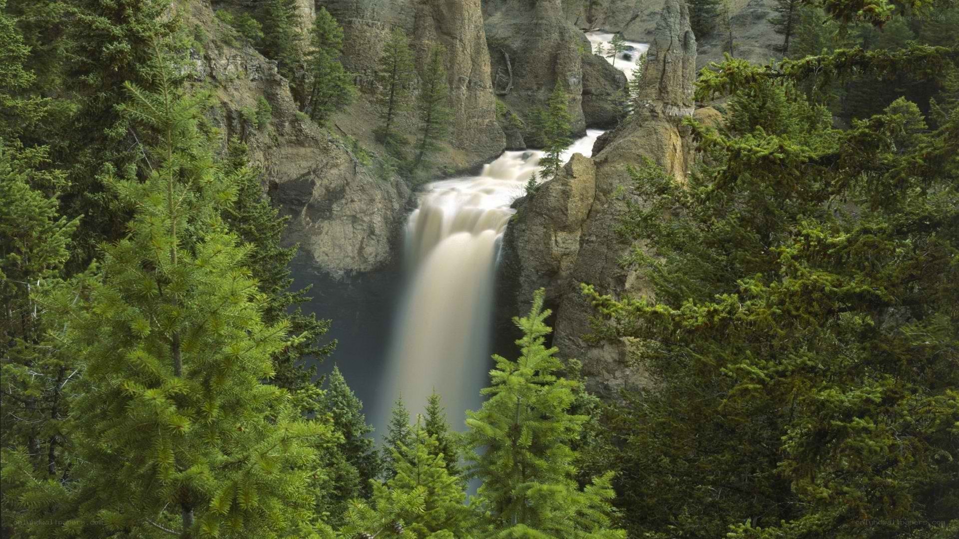Waterfall in a forested canyon